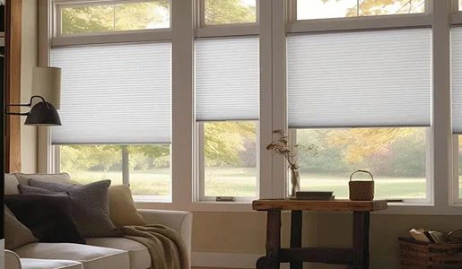 Honeycomb Blinds